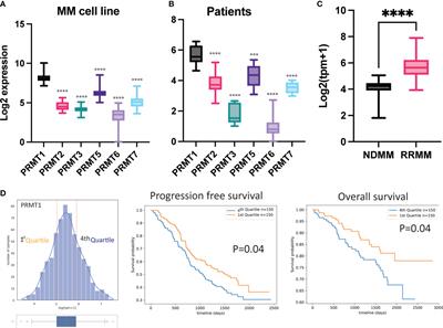 Protein arginine methyltransferase 1 is a therapeutic vulnerability in multiple myeloma